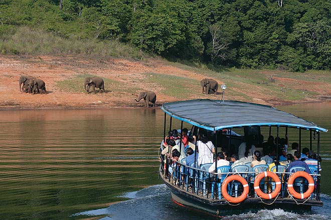 Boat Ride in Lake Periyar