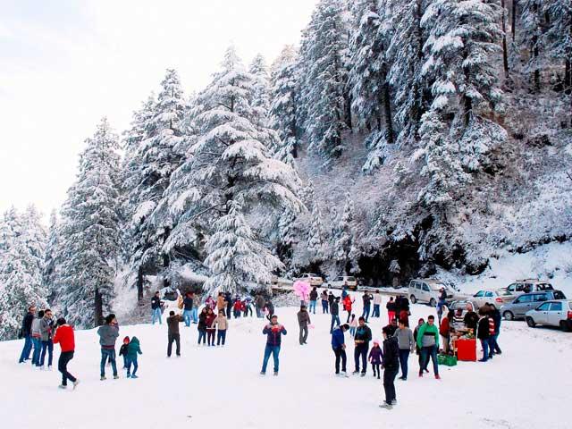 Kufri shimla