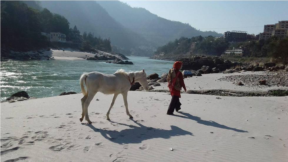 Rishikesh Uttrakhand India 