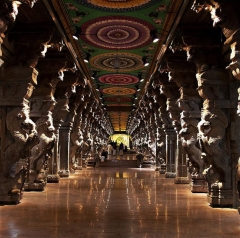 meenakshi temple pillars