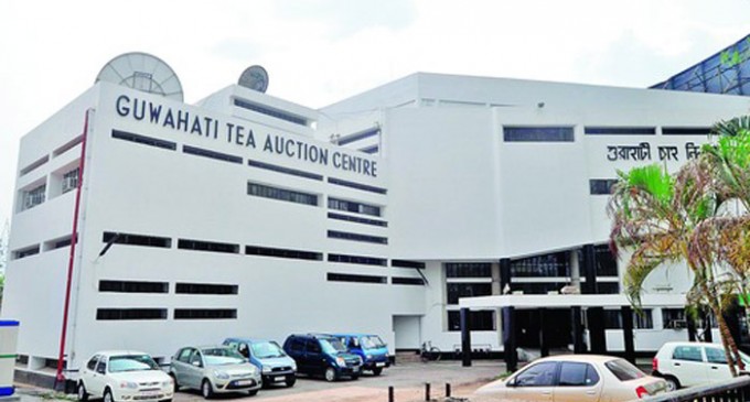 tea auction guwahati